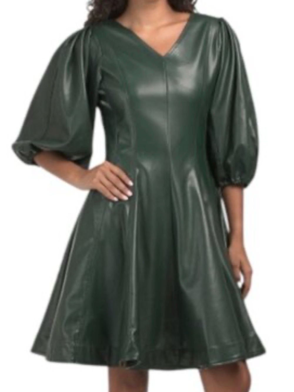 NWTIvy City Co Leah Green V-Neck Faux Leather A-Line Dress size 2